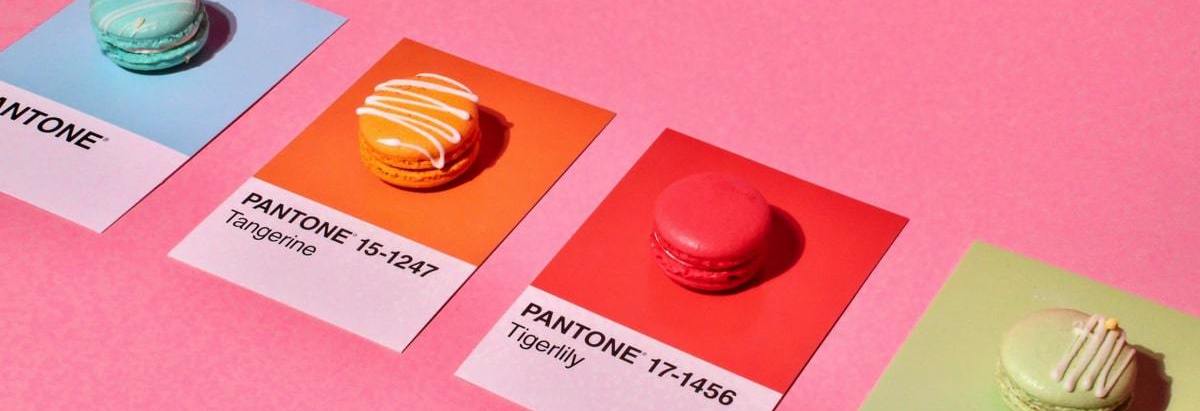 Printed content accesses all your senses, like a tasty and colourful macaroon