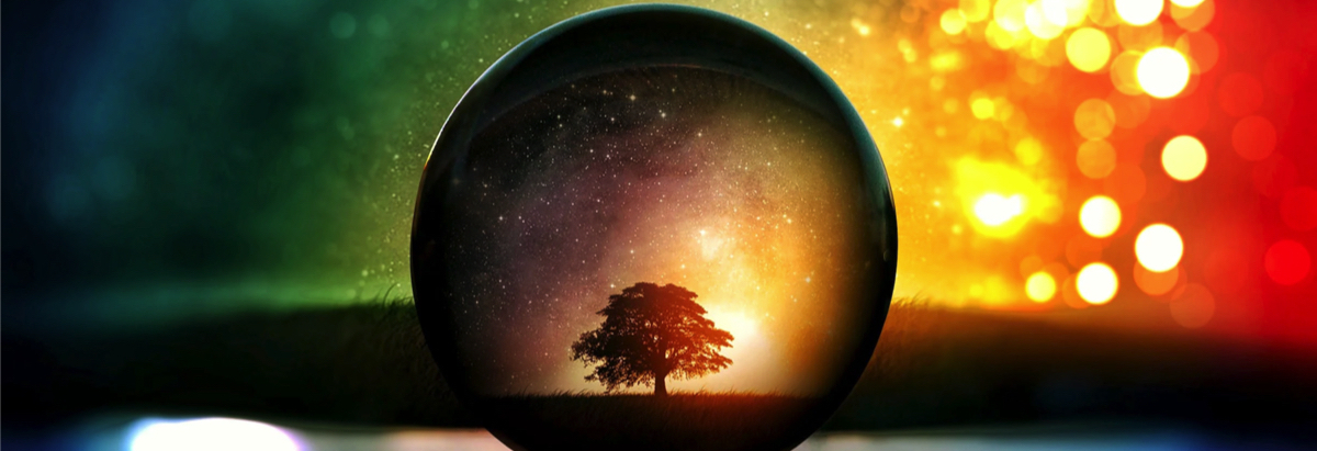 You don't need see a tree in a crystal ball for 2024's marketing predictions.